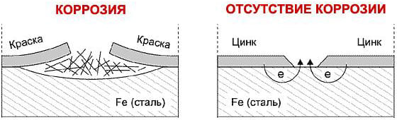 Отличия оцинкованного кузова