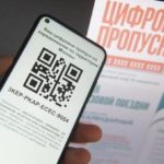 Как проверить цифровой пропуск на автомобиль